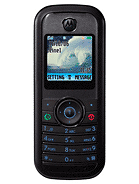 Best available price of Motorola W205 in Congo