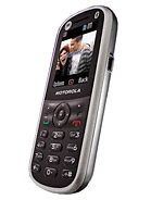 Best available price of Motorola WX288 in Congo