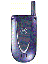 Best available price of Motorola V66i in Congo